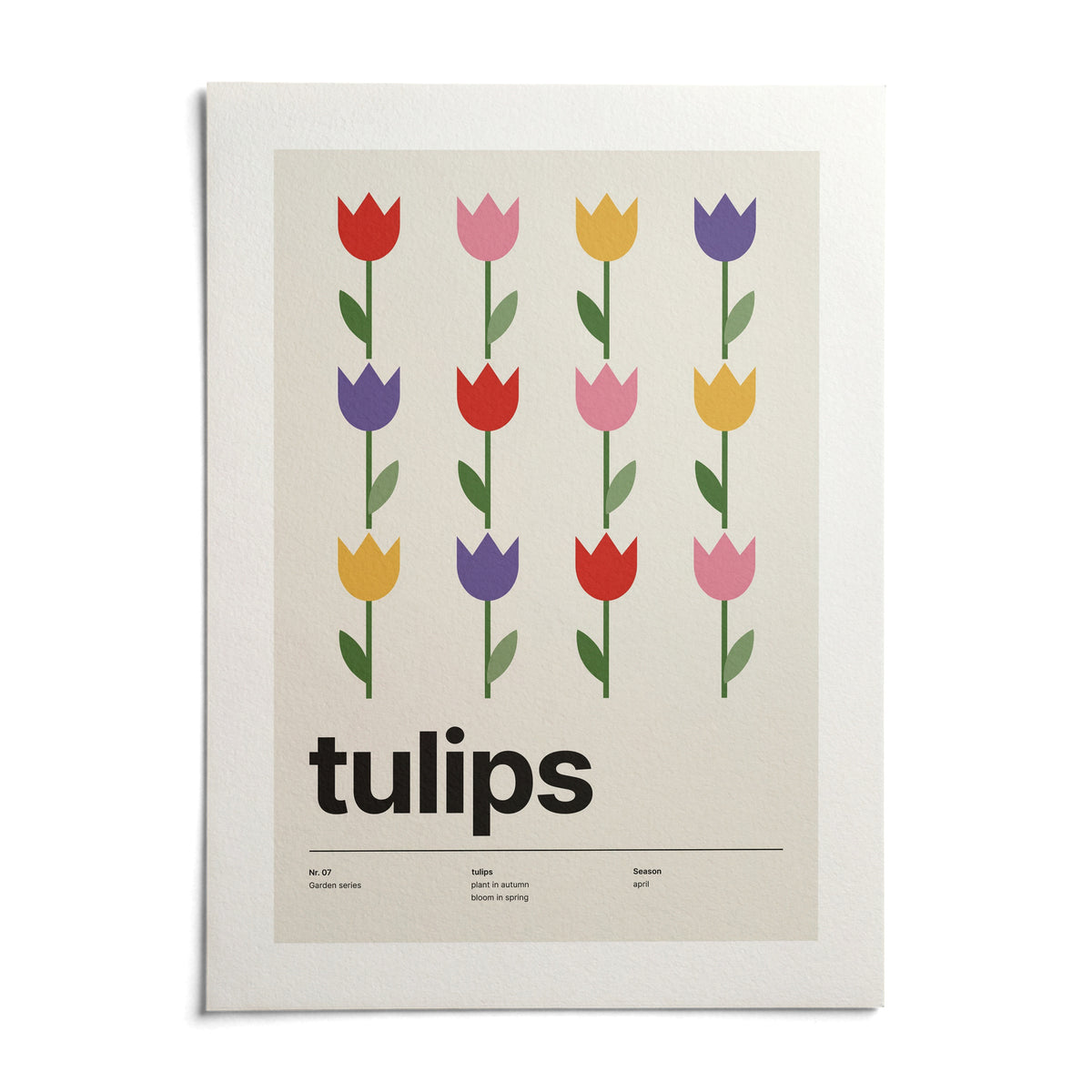 Colourful Tulip Print, shown as an unframed paper print on a plain white background