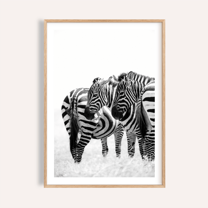 Close-up of zebra wall art featuring three zebras in black and white stripes with a natural wood frame