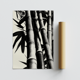 Rolled print with Bamboo Black And White Print showing photographic bamboo stalks in black and white