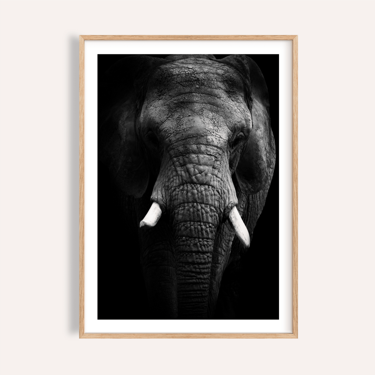 Framed close-up of elephant print in black and white showing textured elephant head