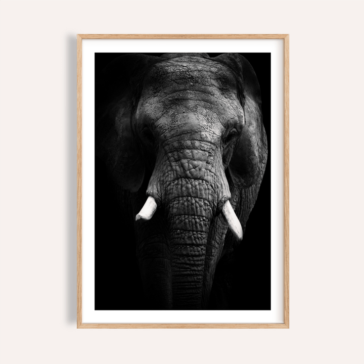 Framed close-up of elephant print in black and white showing textured elephant head