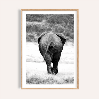 Framed nature animal wall art showing the rear view of an elephant in black and white
