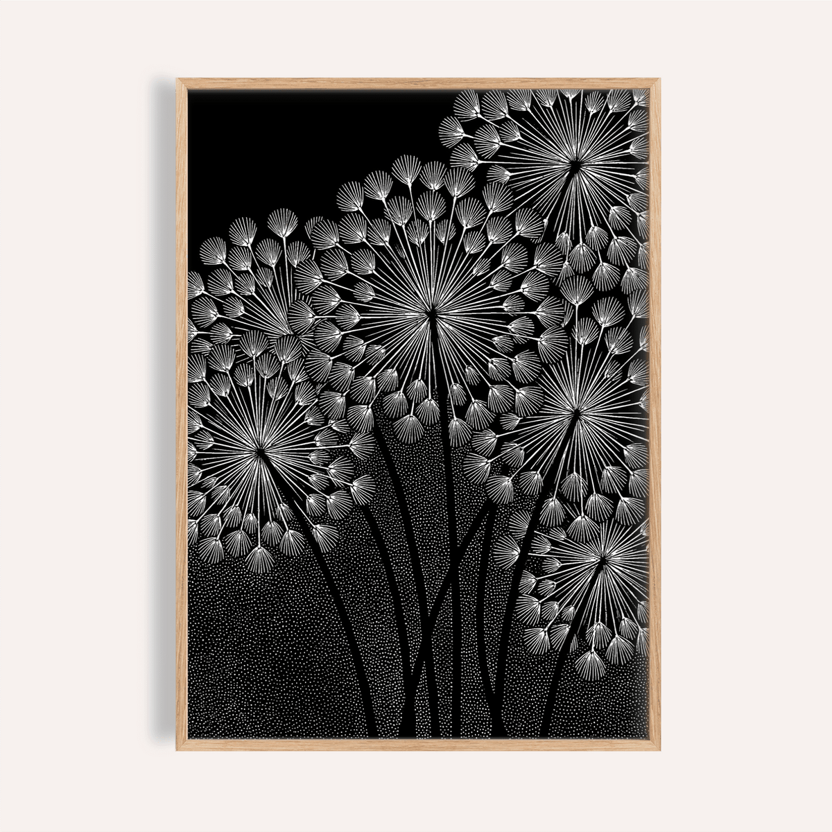 Framed print of dandelions wall art with white seed heads on a black background