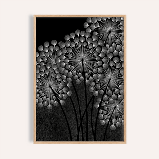 Framed print of dandelions wall art with white seed heads on a black background