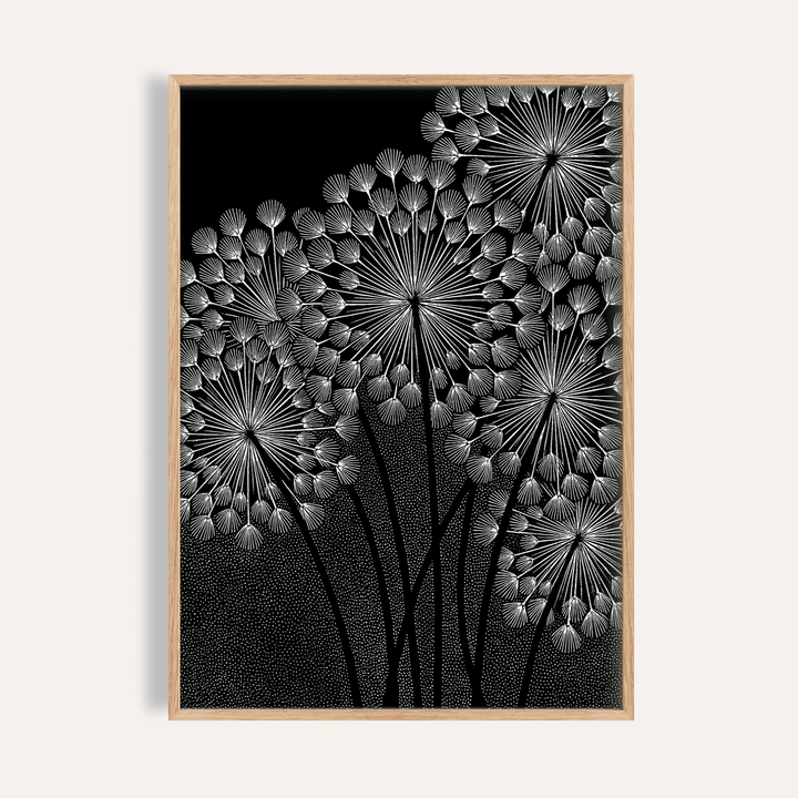 Framed print of dandelions wall art with white seed heads on a black background