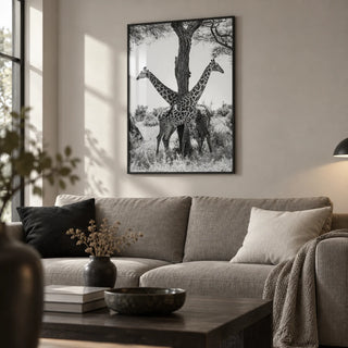Giraffe Black And White Art Print, framed on the wall of a calm monochrome living room