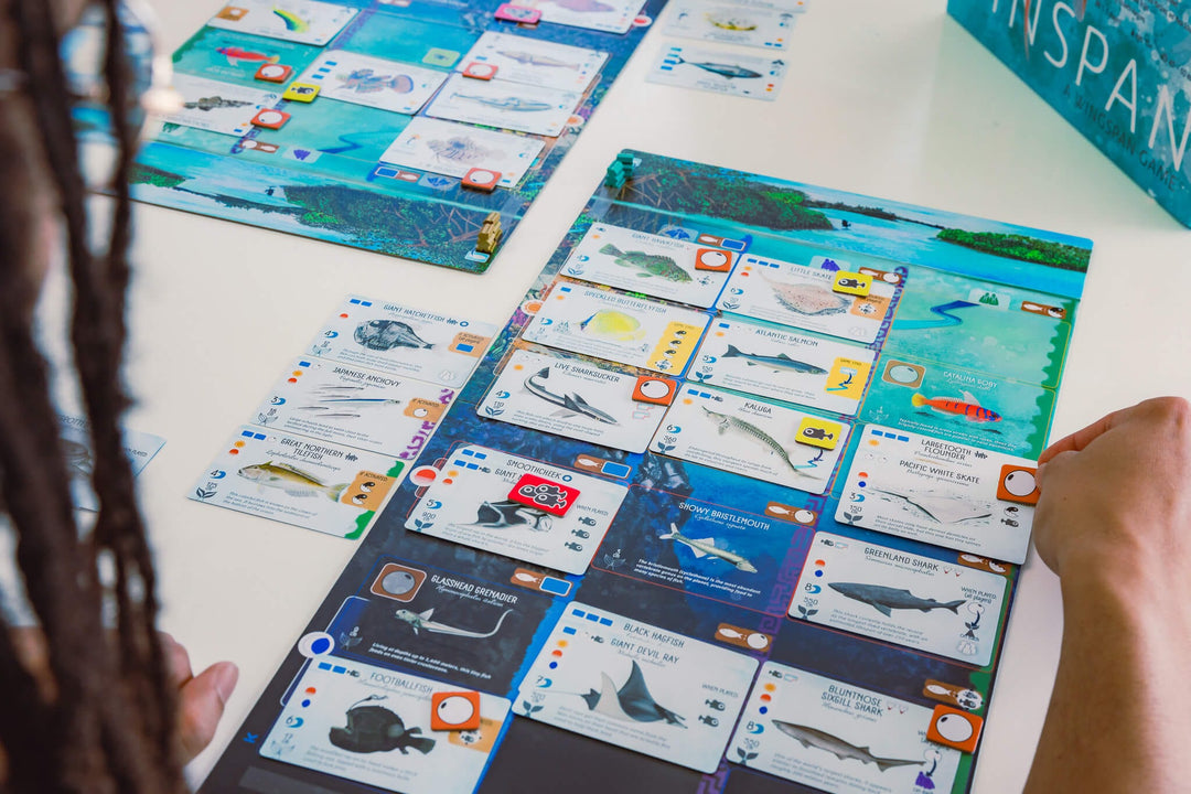 Finspan (EN) JEUX - Famille