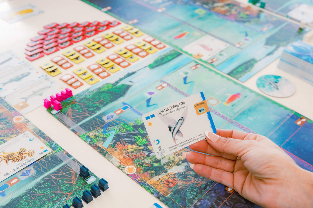 Finspan (EN) JEUX - Famille