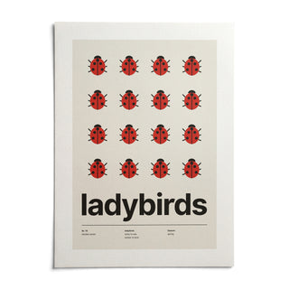 Ladybird Poster, shown as an unframed paper print on a plain white background