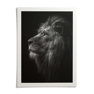 Lion Wall Art, shown as an unframed paper print on a plain white background