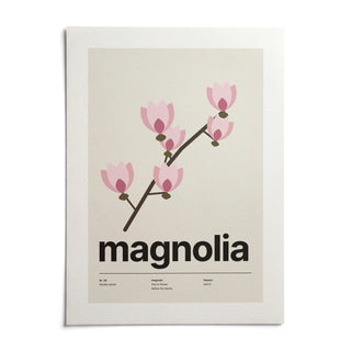 Magnolia Flower Print, shown as an unframed paper print on a plain white background