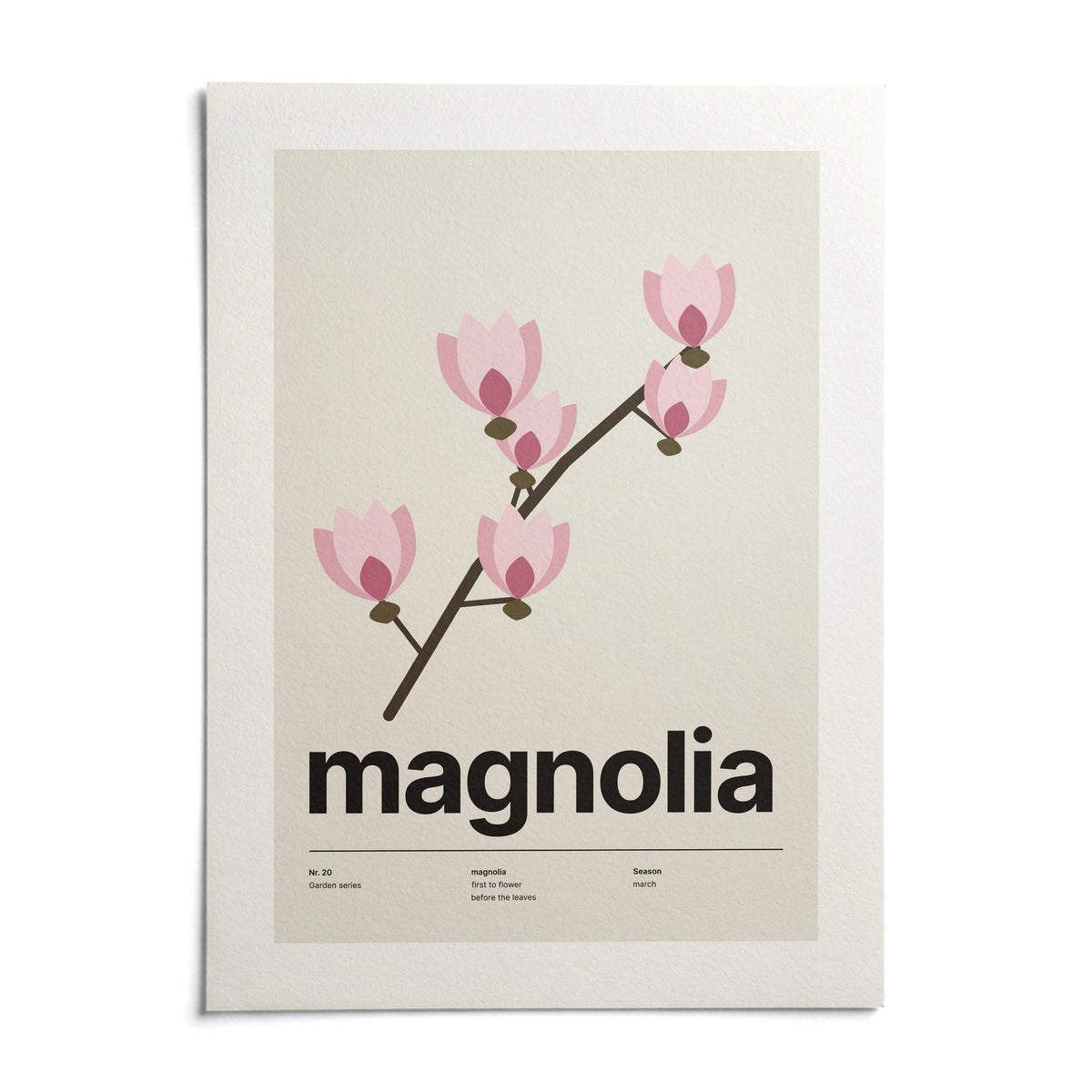 Magnolia Flower Print, shown as an unframed paper print on a plain white background
