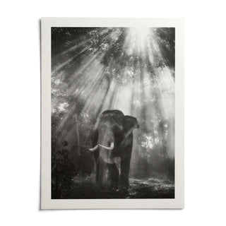 Nature Photography Wall Art, shown as an unframed paper print on a plain white background