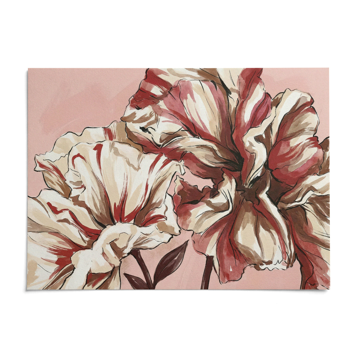 Pink Background Flower Print, shown as an unframed paper print on a plain white background