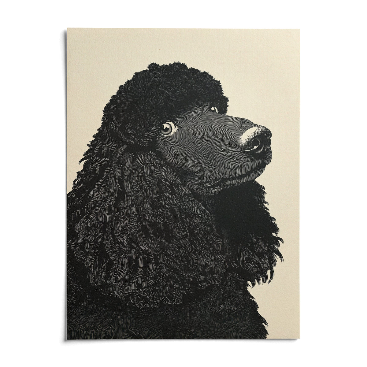 Poodle Art Print, shown as an unframed paper print on a plain white background
