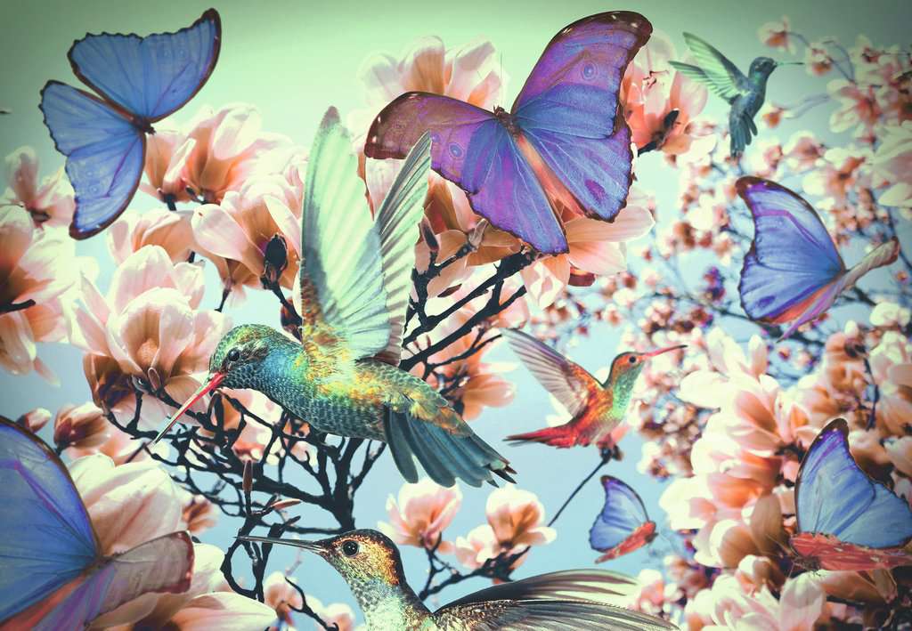 Puzzle 300 - Moments: Colibris CASSE-TÊTE - 300 - 375 morceaux