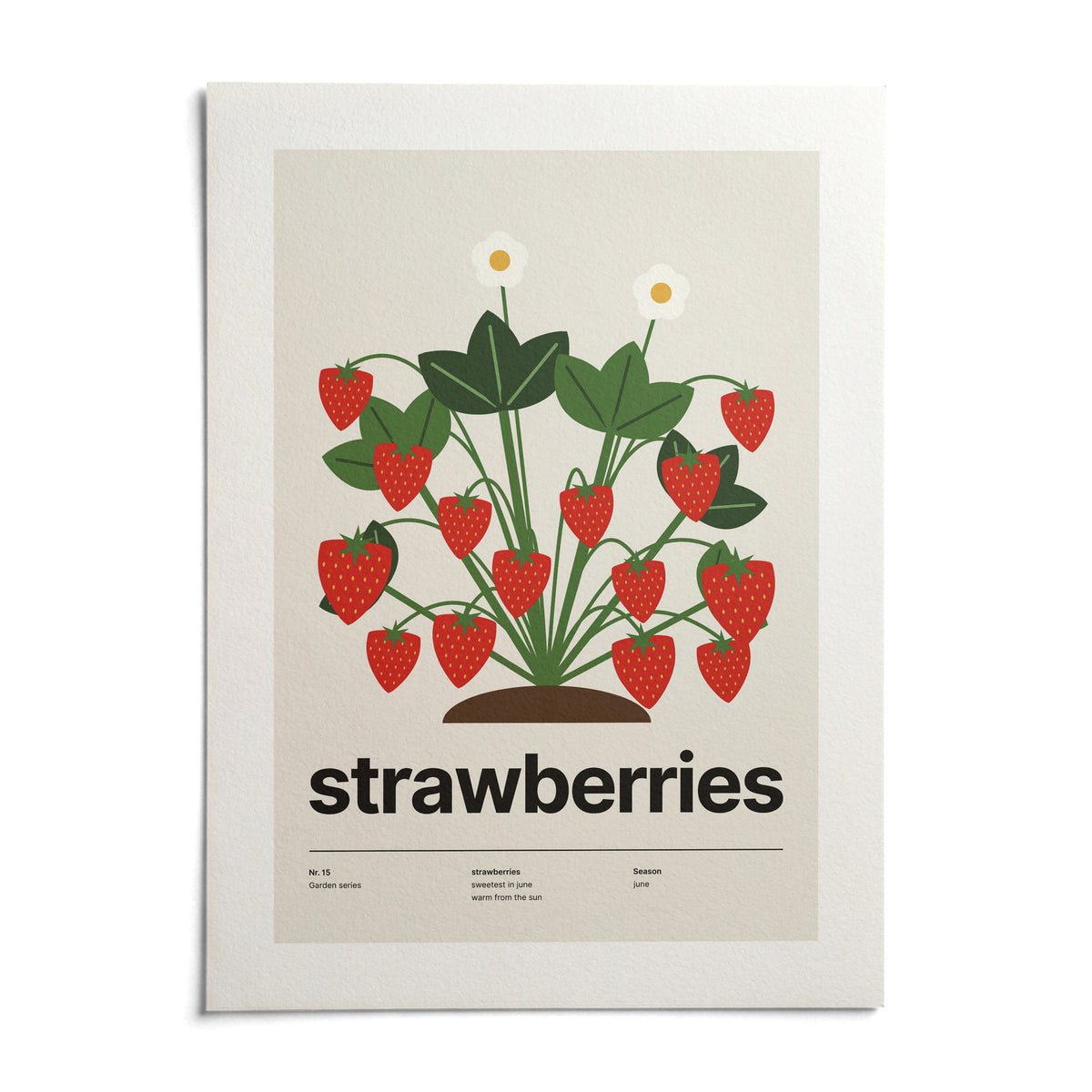 Strawberry Plant Print, shown as an unframed paper print on a plain white background
