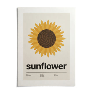 Sunflower Head Print, shown as an unframed paper print on a plain white background