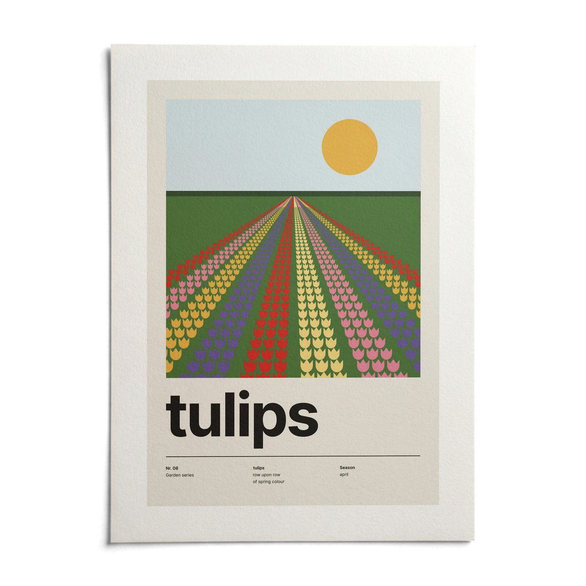 Tulip Field Print, shown as an unframed paper print on a plain white background