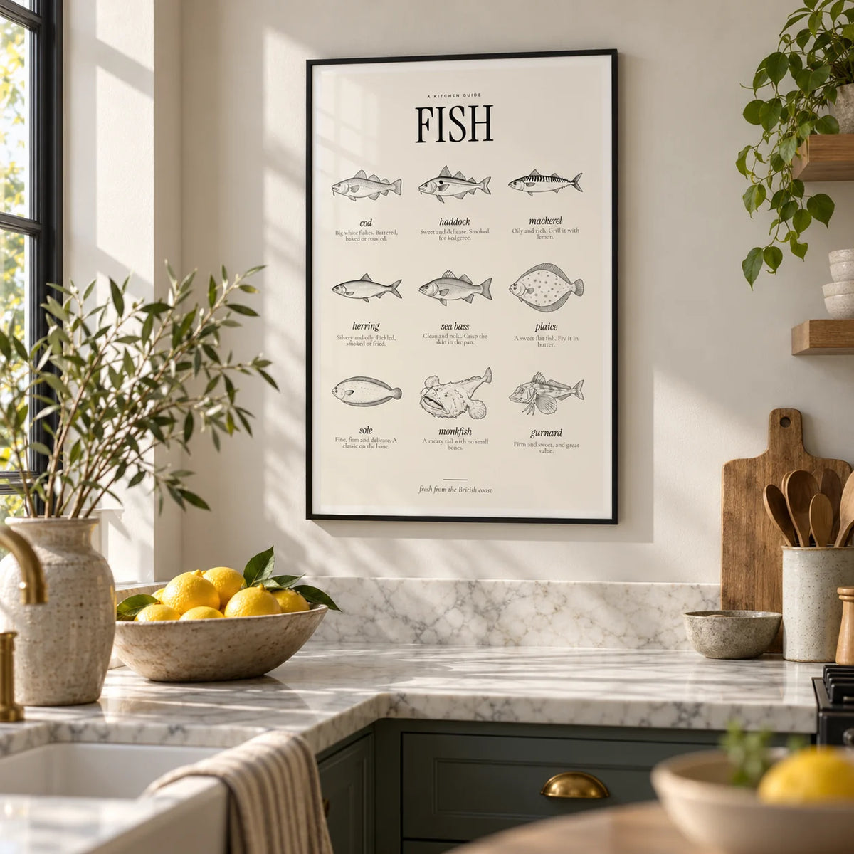 Types of Fish Print, framed on the wall of a calm modern kitchen