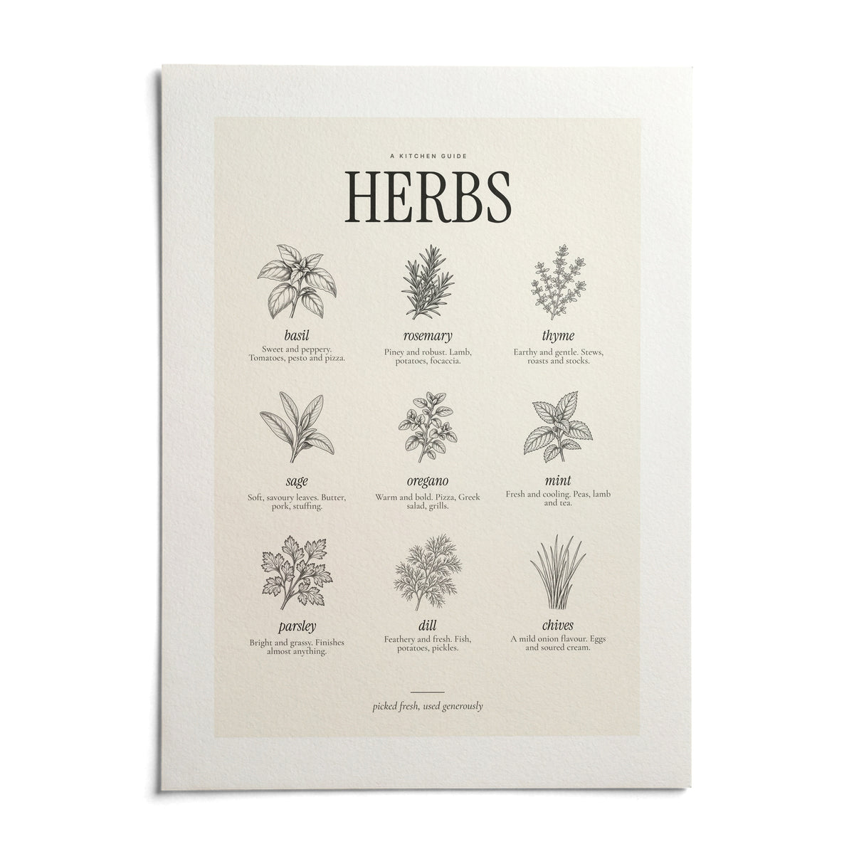 Types of Herbs Print, shown as an unframed paper print on a plain white background