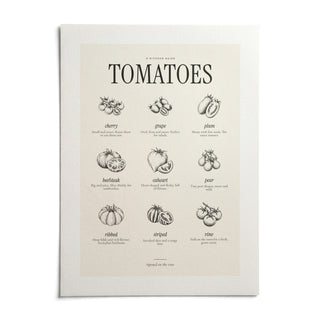 Types of Tomatoes Print, shown as an unframed paper print on a plain white background