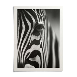Wildlife Photography Poster, shown as an unframed paper print on a plain white background