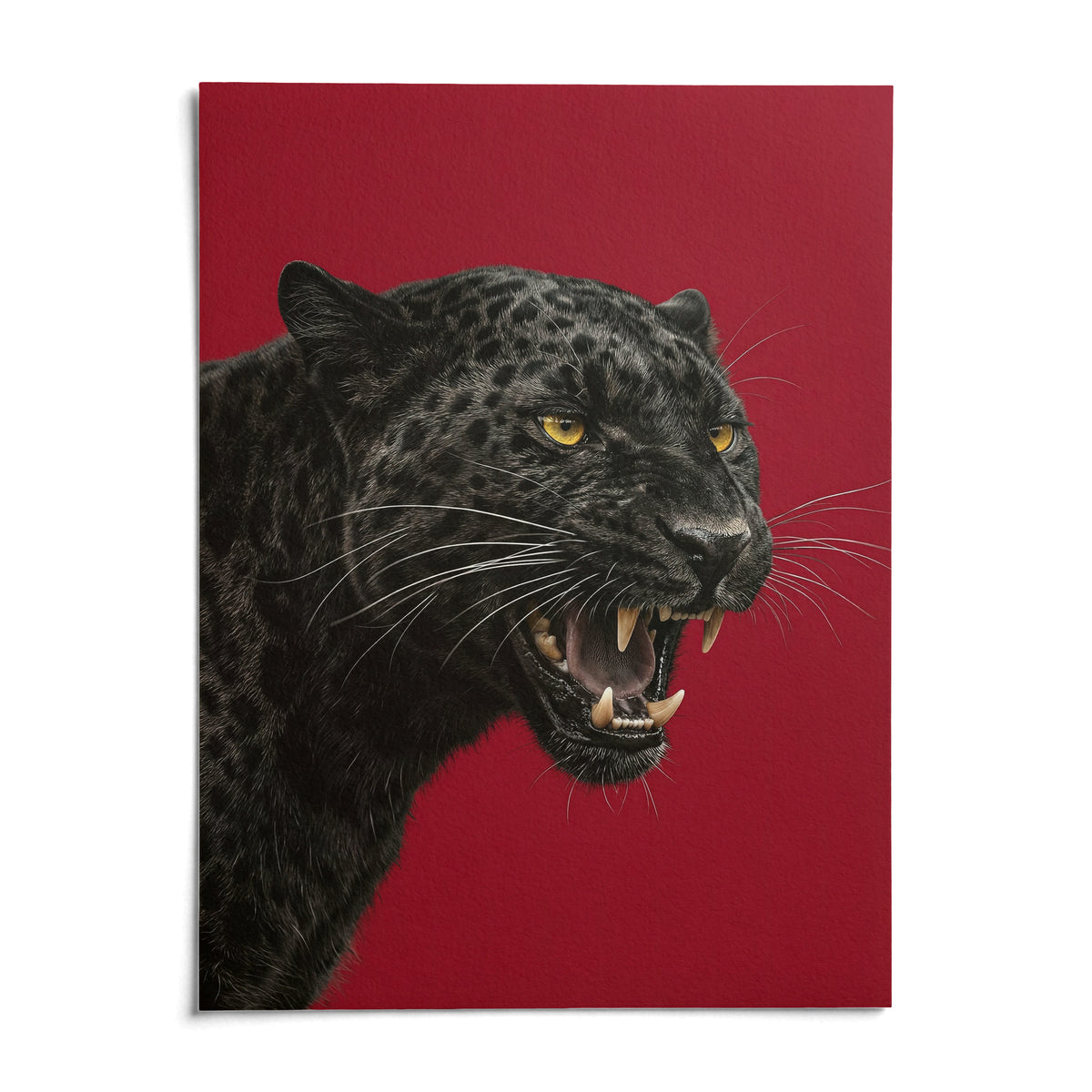 Wildlife Wall Art, shown as an unframed paper print on a plain white background